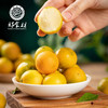 CY-融安蜜甜脆皮金桔 商品缩略图0