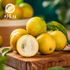 CY-融安蜜甜脆皮金桔 商品缩略图2