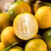 CY-融安蜜甜脆皮金桔 商品缩略图1