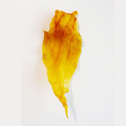 深海鲨鱼胶礼盒100g【LY】【包邮直发】 商品图2