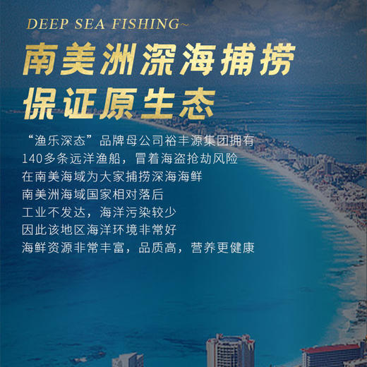 海鲜礼盒 深海大黄鱼一条装4-5KG 【LY】【包邮直发】 商品图2