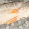 海鲜礼盒 深海大黄鱼一条装4-5KG 【LY】【包邮直发】 商品缩略图4