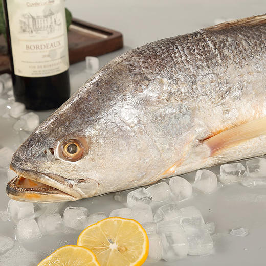 海鲜礼盒 深海大黄鱼一条装4-5KG 【LY】【包邮直发】 商品图3