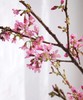 【开花特惠】单瓣樱花   约5枝/扎  约70cm 商品缩略图1