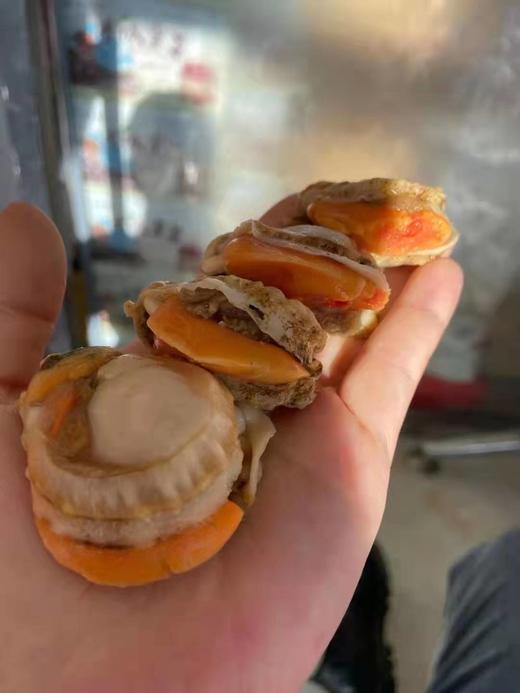 红贝扇贝肉一斤 商品图2