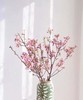 【开花特惠】单瓣樱花   约5枝/扎  约70cm 商品缩略图0