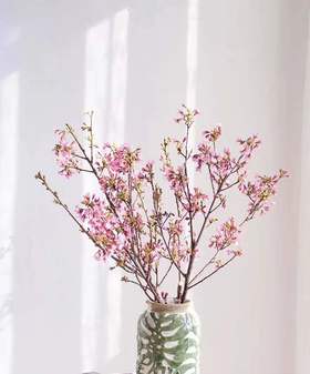 【开花特惠】单瓣樱花   约5枝/扎  约70cm