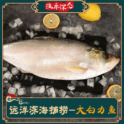 海鲜礼盒 轻享组合A2【LY】【包邮直发】 商品图2