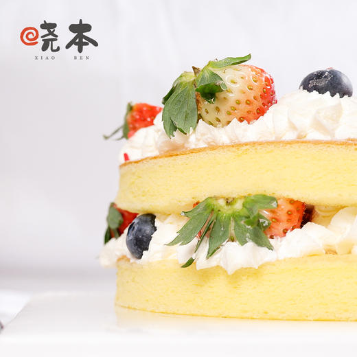 圣诞限定｜圣诞花环裸蛋糕 商品图5