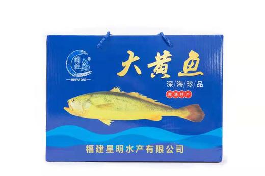 海鲜礼盒 大黄鱼三种风味6条装【LY】 商品图0