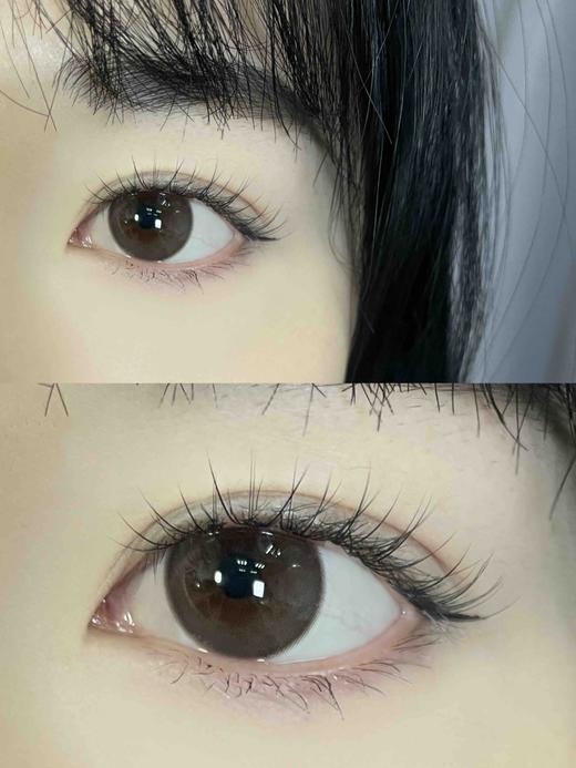 半年抛 (原名DK)Deekay G325 14.2 着色 13.7 /8.7 商品图9