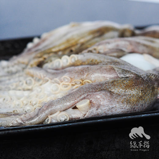 野生活冻小章鱼  | 合作生产 * Wild Dongshan Island seafood | Coproduction 商品图1
