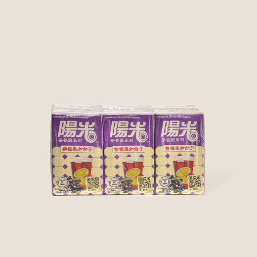 阳光黑加仑饮料 250ml 商品图0