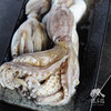 野生活冻小章鱼  | 合作生产 * Wild Dongshan Island seafood | Coproduction 商品缩略图8