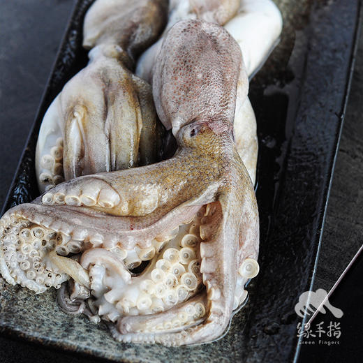野生活冻小章鱼  | 合作生产 * Wild Dongshan Island seafood | Coproduction 商品图8