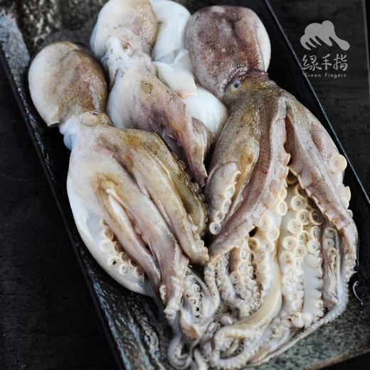 野生活冻小章鱼  | 合作生产 * Wild Dongshan Island seafood | Coproduction 商品图7