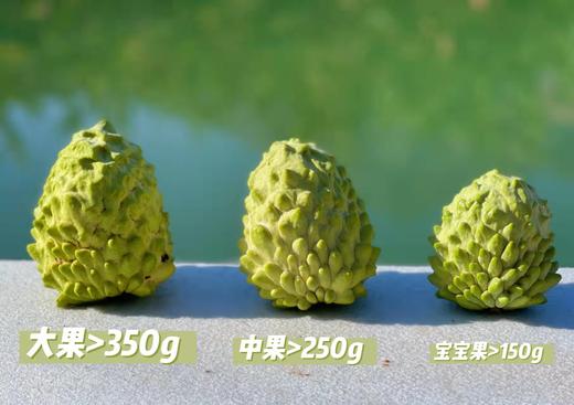 【凤梨释迦果】 甜甜甜 纯甜 冰淇淋风味 果肉细腻/ 顺丰包邮 商品图6