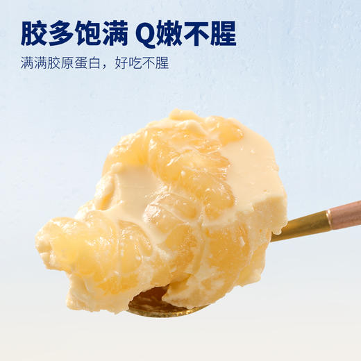 【限时特惠】半年套餐  官栈纯奶即食花胶-小嫩胶70g/瓶（144瓶） 商品图1