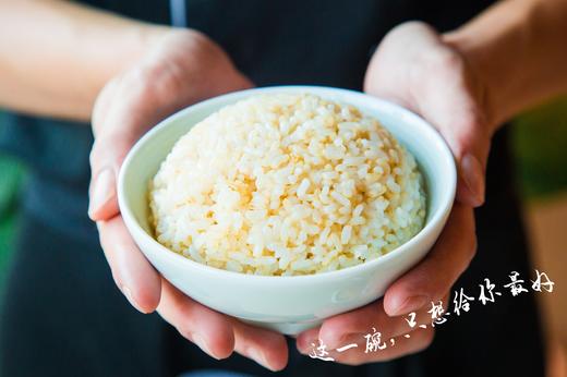 有机胚芽米礼盒装 1250g*2袋 商品图0