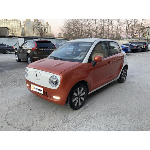 欧拉 黑猫 351km 豪华型 【长租-北京】 商品图2