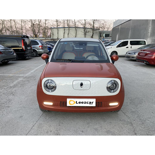 欧拉 黑猫 351km 豪华型 【长租-北京】 商品图1