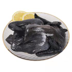 乌骨鸡 1700g（鸡杂与鸡头随机搭配，不接受备注）（需要砍小，请备注）