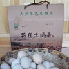 JGCB-黄崖土鸡蛋【大宗供货请联系客服】 商品缩略图0