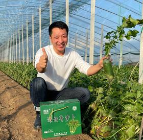 潍坊潍县萝卜礼盒