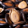 【下架】【助农】旭东桶装话梅味西瓜子908g 商品缩略图1