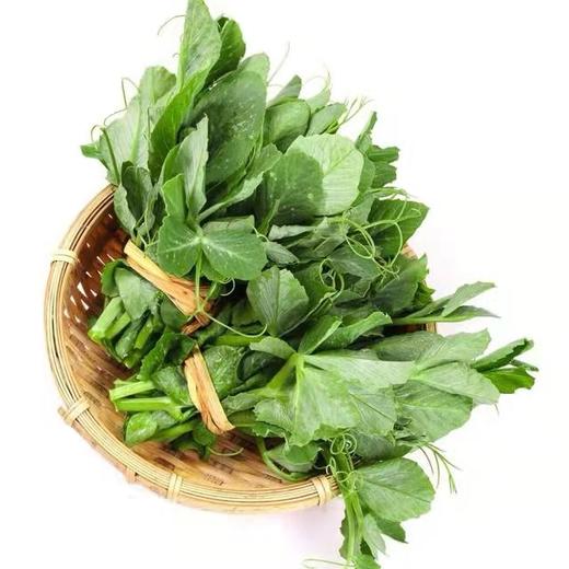 豌豆尖｜静物自产 商品图0