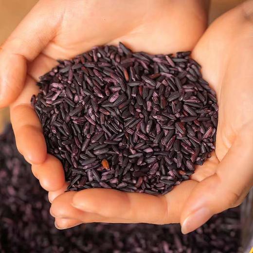 【2025年新米|云南墨江紫米】一年一季一熟  云端下的好米  富含花青素 低脂粗粮 商品图2