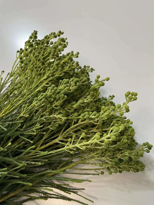 【美满/丰收/幸福】珊瑚果 绿色（小果）若干枝/扎 商品图10