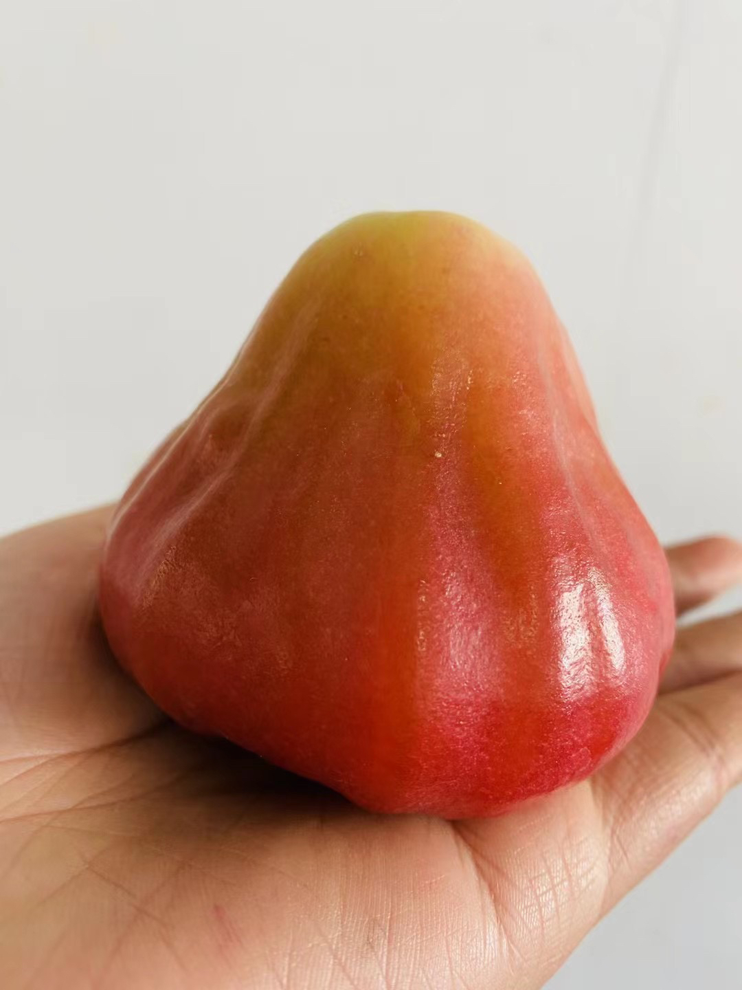 海南牛奶莲雾 5a级果 特有的品种,脆甜水嫩多汁,润肺润喉