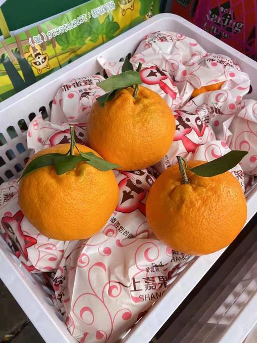 耙耙柑散称  味道浓郁 化渣率高 不干水 商品图6