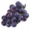 巨峰葡萄 一串（约1.6斤） 商品缩略图0