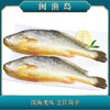 深海野化大黄鱼礼盒2条装【LY】【包邮直发】 商品缩略图0