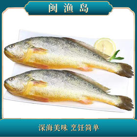 深海野化大黄鱼礼盒2条装【LY】【包邮直发】