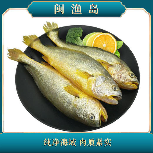深海野化大黄鱼6条装 5.5斤/盒【LY】 商品图0