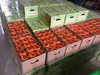 【抽检下架】【助农】清江椪柑特级45枚/箱//超特30枚/箱 商品缩略图8