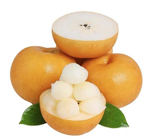 南水梨 又水又甜又细腻  新梨 商品图2