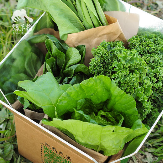 生态广州时令蔬菜箱（包邮）| 绿家自产*ecological eafy vegetables | Self-production 商品图1
