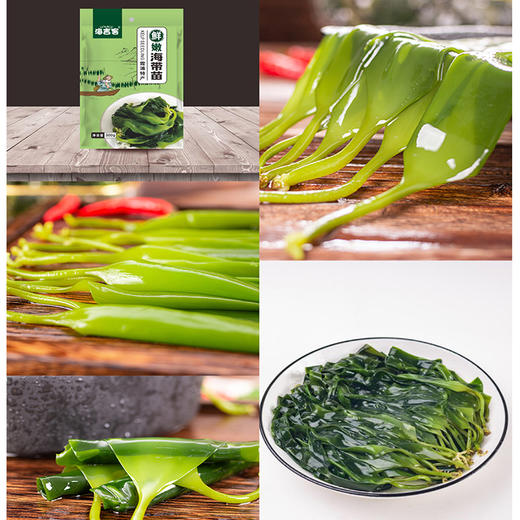 海吉客盐渍海带300g【LY】 商品图4