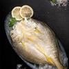苏里南黄鱼鲞300g【LY】 商品缩略图4
