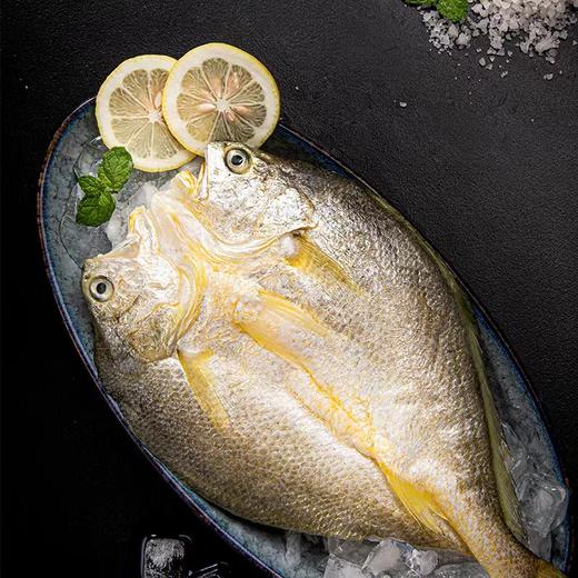 苏里南黄鱼鲞300g【LY】 商品图4