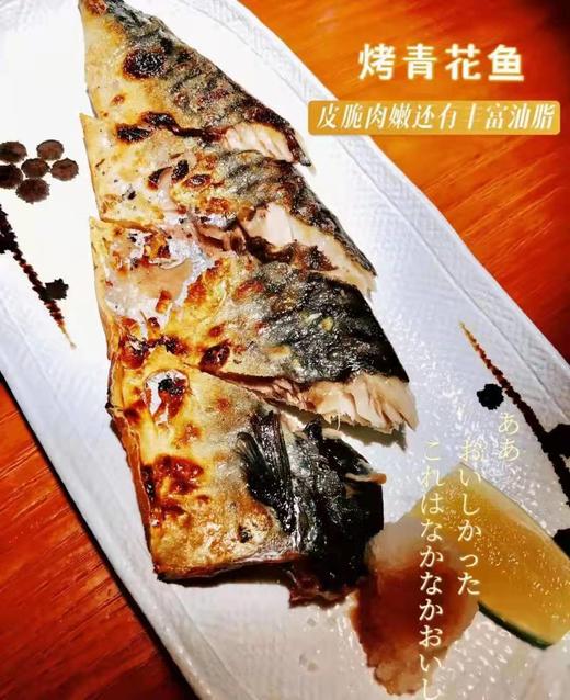 青花鱼 商品图2