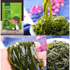 海吉客盐渍海带300g【LY】 商品缩略图2