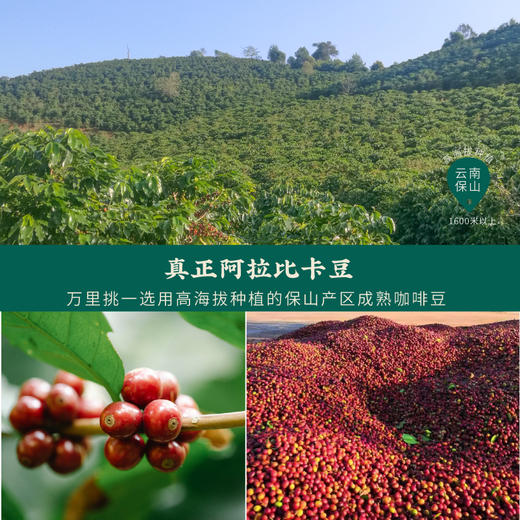 云娘食记牌冻干咖啡粉 商品图3