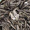 生态葵瓜子 | 合作生产 *Eco-sunflower seed  | Coproduction 商品缩略图3
