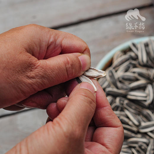 生态葵瓜子 | 合作生产 *Eco-sunflower seed  | Coproduction 商品图2