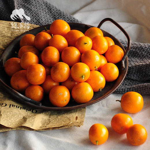 生态金桔（申通快递，春节正常发货） | 合作生产*Eco-Kimquat | Partner Production 商品图4